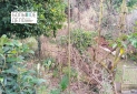 IMG_20260112_133113