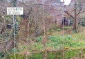 IMG_20260112_134041