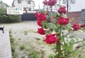 IMG_20260521_105924