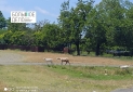 IMG_20260623_144315