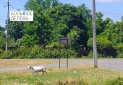 IMG_20260623_144439